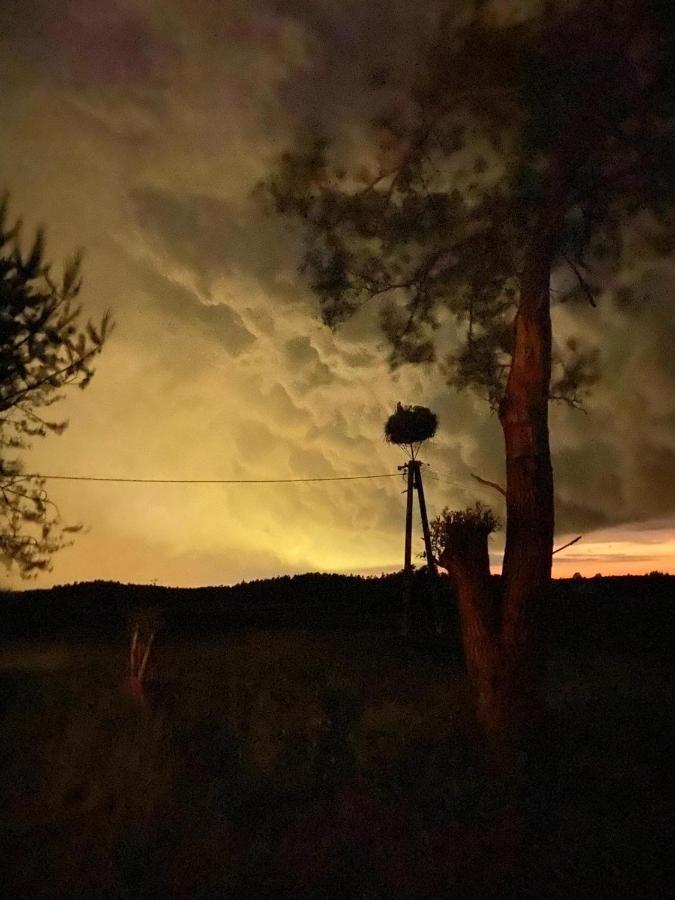 Villa Pod Bocianim Gniazdem Stary Folwark Esterno foto