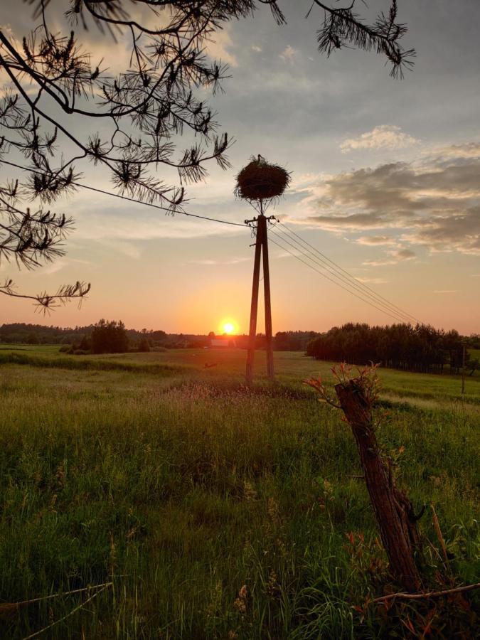 Villa Pod Bocianim Gniazdem Stary Folwark Esterno foto