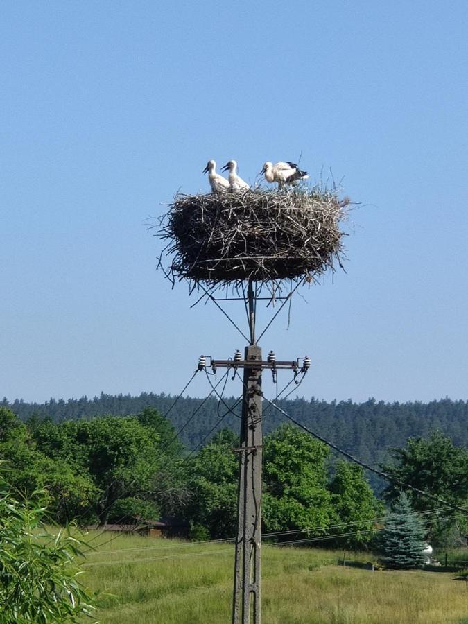 Villa Pod Bocianim Gniazdem Stary Folwark Esterno foto